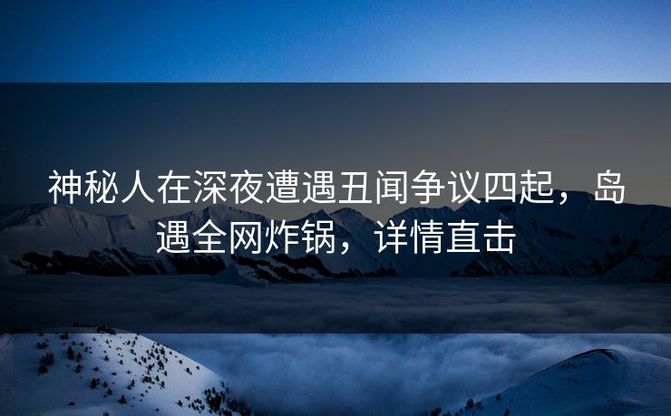 神秘人在深夜遭遇丑闻争议四起，岛遇全网炸锅，详情直击
