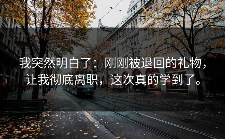 我突然明白了：刚刚被退回的礼物，让我彻底离职，这次真的学到了。