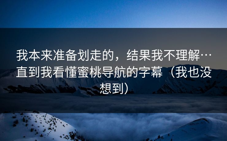 我本来准备划走的，结果我不理解…直到我看懂蜜桃导航的字幕（我也没想到）